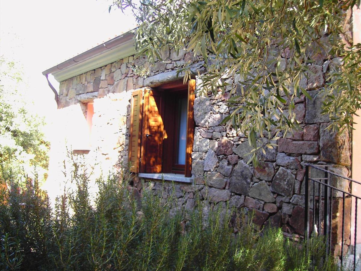 Secret Garden Apartment Будони Екстериор снимка